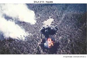 200- ARMEE DE L'AIR EN ALGERIE 1945-1962-48 (63)